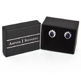 Boxed Royal Earrings in White Gold